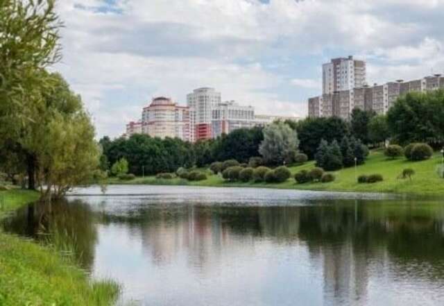 Апартаменты Дюна Квартира-студия рядом с метро Московский район Минск-30